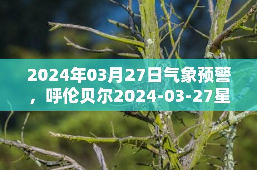 2024年03月27日气象预警，呼伦贝尔2024-03-27星期三雨夹雪转大雪最高气温13度