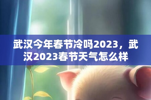 武汉今年春节冷吗2023，武汉2023春节天气怎么样