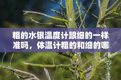 粗的水银温度计跟细的一样准吗，体温计粗的和细的哪个更准确