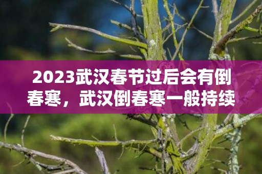 2023武汉春节过后会有倒春寒，武汉倒春寒一般持续多久