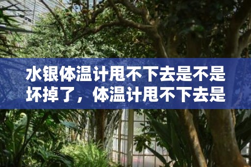 水银体温计甩不下去是不是坏掉了，体温计甩不下去是冻住了吗