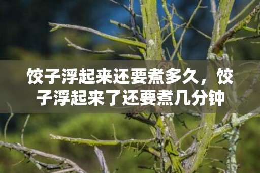 饺子浮起来还要煮多久，饺子浮起来了还要煮几分钟
