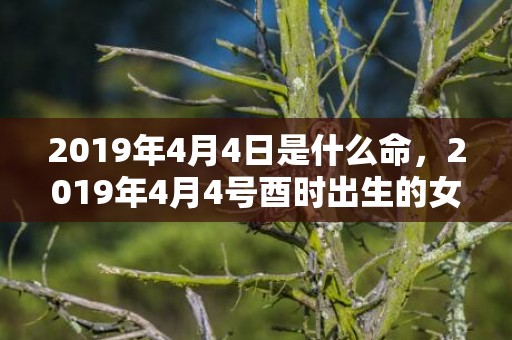2019年4月4日是什么命，2019年4月4号酉时出生的女孩起什么名字最好，需要注意哪些？