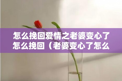 怎么挽回爱情之老婆变心了怎么挽回（老婆变心了怎么挽回还有一个孩子）