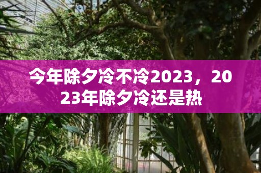 今年除夕冷不冷2023，2023年除夕冷还是热