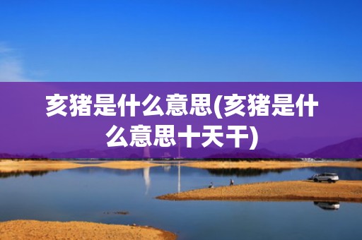 亥猪是什么意思(亥猪是什么意思十天干)