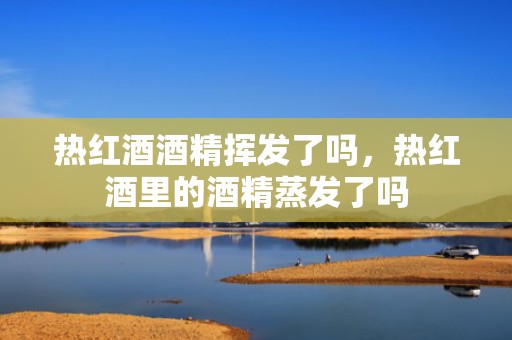 热红酒酒精挥发了吗，热红酒里的酒精蒸发了吗