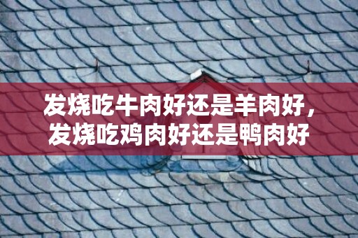 发烧吃牛肉好还是羊肉好，发烧吃鸡肉好还是鸭肉好