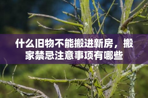 什么旧物不能搬进新房，搬家禁忌注意事项有哪些