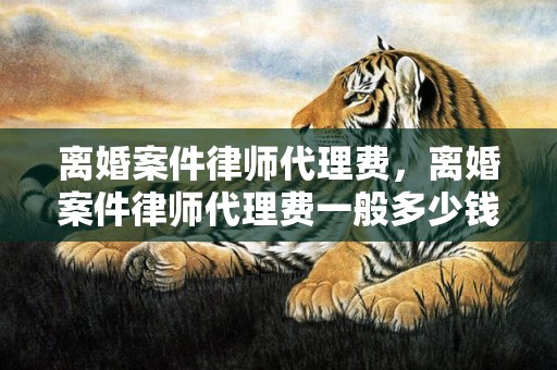 离婚案件律师代理费，离婚案件律师代理费一般多少钱
