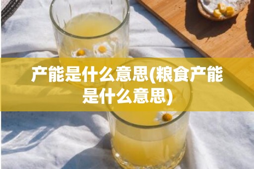 产能是什么意思(粮食产能是什么意思)