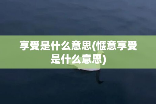 享受是什么意思(惬意享受是什么意思)