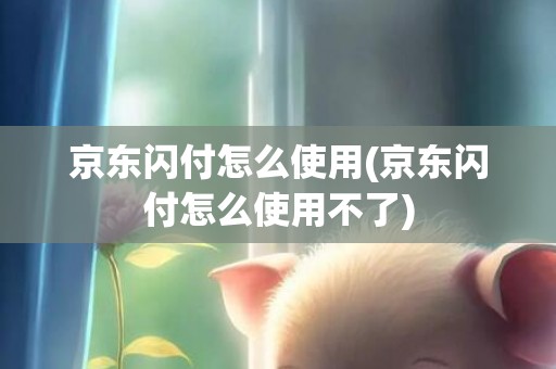 京东闪付怎么使用(京东闪付怎么使用不了)