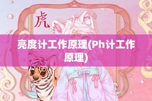 亮度计工作原理(Ph计工作原理)