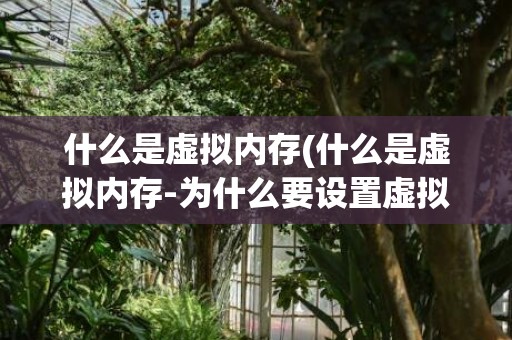什么是虚拟内存(什么是虚拟内存-为什么要设置虚拟内存-)