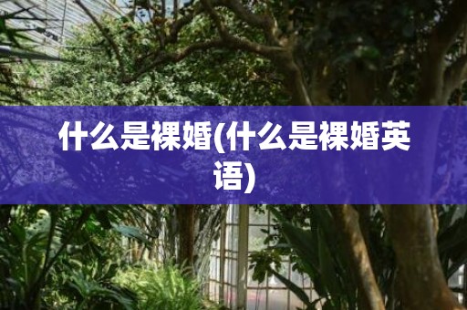 什么是裸婚(什么是裸婚英语)