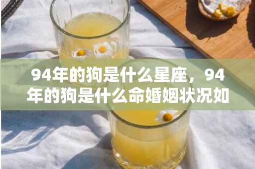 94年的狗是什么星座，94年的狗是什么命婚姻状况如何