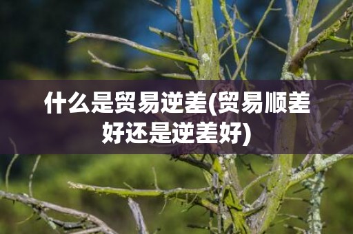 什么是贸易逆差(贸易顺差好还是逆差好)
