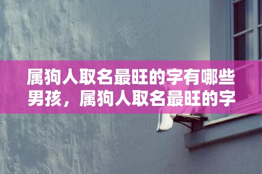 属狗人取名最旺的字有哪些男孩，属狗人取名最旺的字