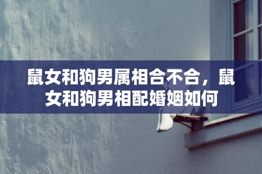鼠女和狗男属相合不合，鼠女和狗男相配婚姻如何