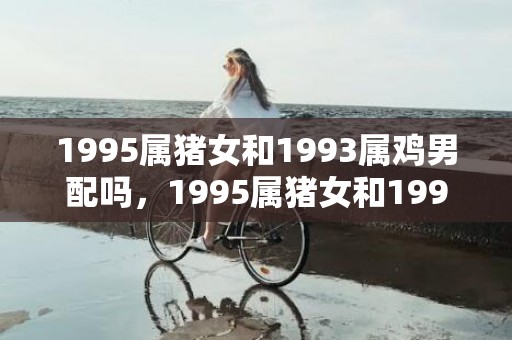 1995属猪女和1993属鸡男配吗，1995属猪女和1993属鸡男姻缘