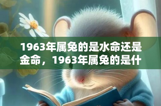 1963年属兔的是水命还是金命，1963年属兔的是什么命