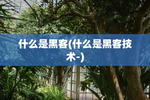 什么是黑客(什么是黑客技术-)