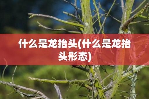 什么是龙抬头(什么是龙抬头形态)