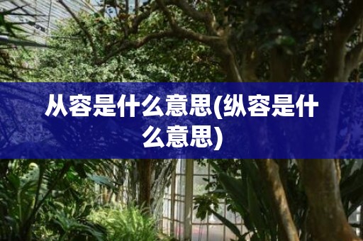从容是什么意思(纵容是什么意思)