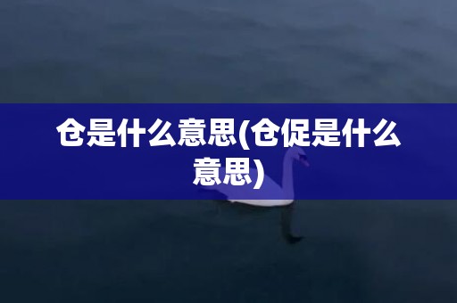 仓是什么意思(仓促是什么意思)