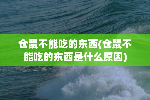 仓鼠不能吃的东西(仓鼠不能吃的东西是什么原因)