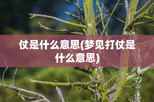 仗是什么意思(梦见打仗是什么意思)