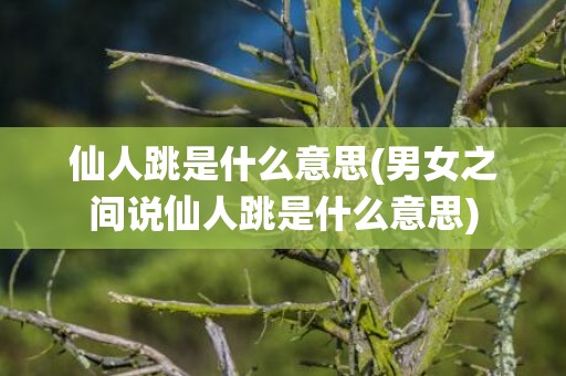 仙人跳是什么意思(男女之间说仙人跳是什么意思)