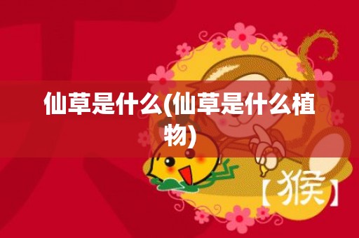 仙草是什么(仙草是什么植物)