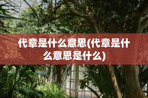 代章是什么意思(代章是什么意思是什么)