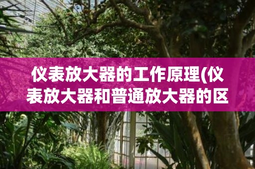 仪表放大器的工作原理(仪表放大器和普通放大器的区别)