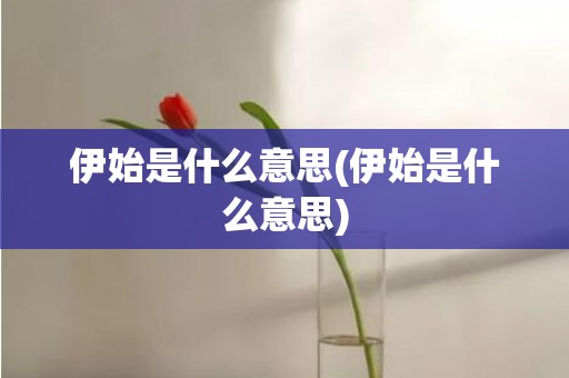 伊始是什么意思(伊始是什么意思)