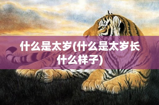 什么是太岁(什么是太岁长什么样子)