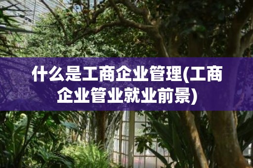 什么是工商企业管理(工商企业管业就业前景)