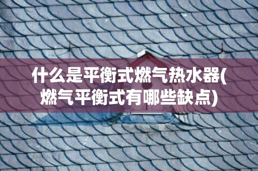 什么是平衡式燃气热水器(燃气平衡式有哪些缺点)
