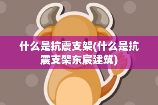 什么是抗震支架(什么是抗震支架东宸建筑)