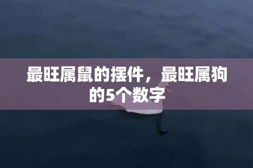 最旺属鼠的摆件，最旺属狗的5个数字