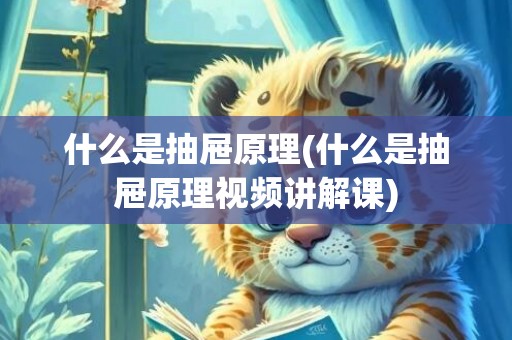 什么是抽屉原理(什么是抽屉原理视频讲解课)