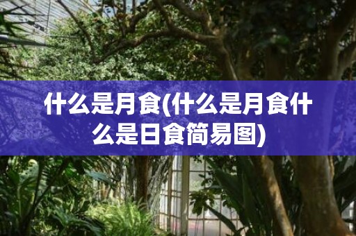什么是月食(什么是月食什么是日食简易图)