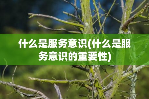 什么是服务意识(什么是服务意识的重要性)