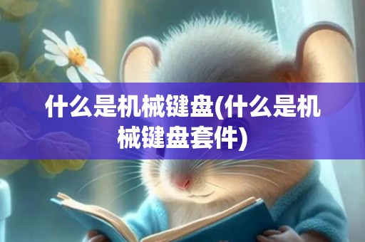 什么是机械键盘(什么是机械键盘套件)