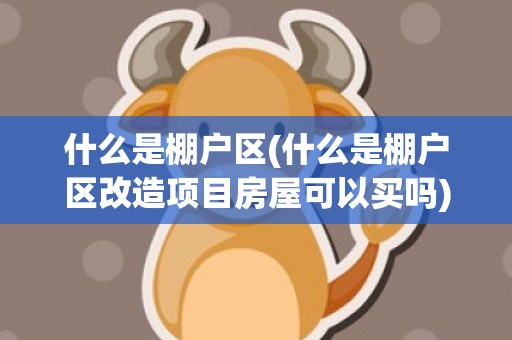 什么是棚户区(什么是棚户区改造项目房屋可以买吗)