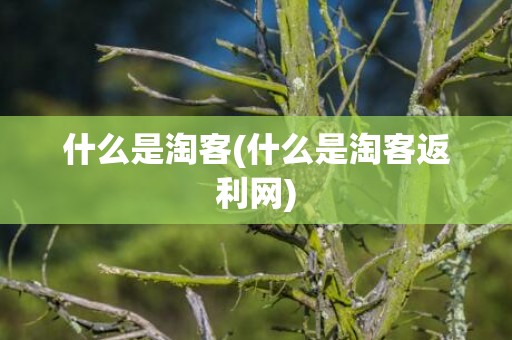 什么是淘客(什么是淘客返利网)