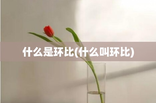 什么是环比(什么叫环比)