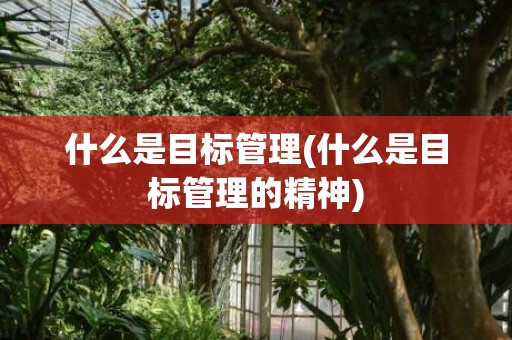 什么是目标管理(什么是目标管理的精神)